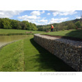 Gabion Box in vendita in tessuto Gabions Wire